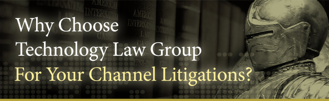 Why Choose Technology Law Group?
